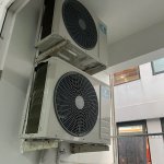 IMG_5217.jpeg