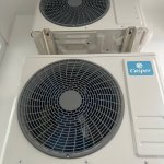IMG_5216.jpeg