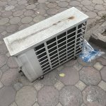 IMG_5456.jpeg