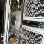 IMG_9126.jpeg