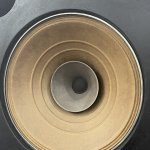 IMG_9375.jpeg