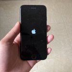 IMG_0042.jpeg