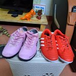 8388509-1ce57af24a3f9abf953e31d4816756a1.jpg