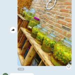 1000031312.jpg