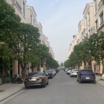 IMG_1594.jpeg