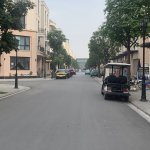 IMG_1597.jpeg
