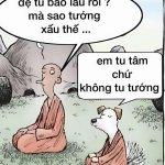 IMG_4164.jpeg