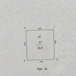 IMG_0472.jpeg