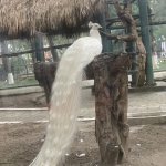 IMG_2891.jpeg