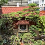 IMG_2034.jpeg