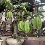 IMG_9715.jpeg