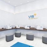 VIB-tan-anh-2.jpg