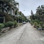 IMG_3641.jpeg