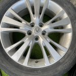 IMG_4322.jpeg