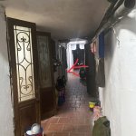 IMG_1076.jpeg