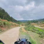 IMG_6250.jpeg