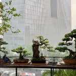 IMG_4993.jpeg