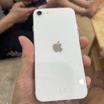 IMG_8551.jpeg