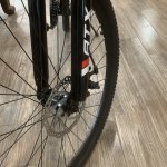IMG_3610.jpeg
