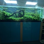 IMG_0770.jpeg