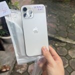 IMG_8635.jpeg