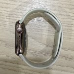 IMG_6205.jpeg