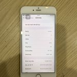 IMG_6212.jpeg