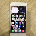 IMG_6214.jpeg