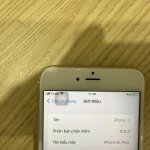 IMG_6215.jpeg