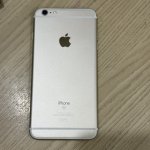 IMG_6216.jpeg
