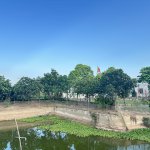 IMG_9959.jpeg