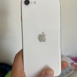 IMG_8663.jpeg