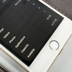 IMG_5565.jpg