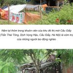 IMG_5208.jpeg