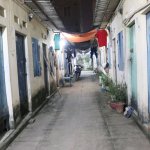 IMG_5210.jpeg