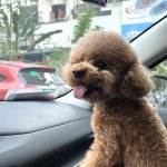 IMG_4821.jpeg