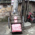 IMG_1085.jpeg