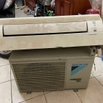 IMG_7921.jpeg