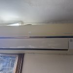 IMG_7855.jpeg