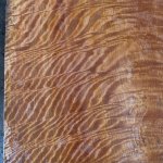 IMG_6533.jpeg