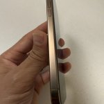 IMG_0855.jpeg
