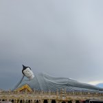 PXL_20250502_060137681.jpg