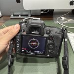 IMG_4623.jpeg