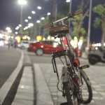 IMG_0017.jpeg