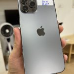 IMG_8709.jpeg