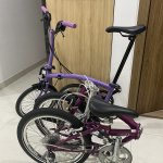 IMG_8281.jpeg