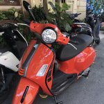 IMG_2580.jpeg