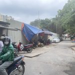 IMG_1998.jpeg