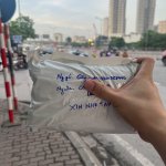 IMG_8780.jpeg