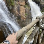 IMG_9195.jpeg